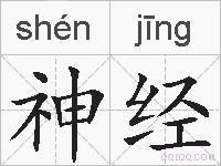 神经的拼音