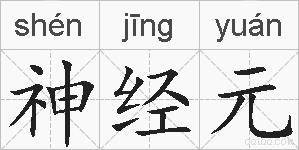 神经元的拼音