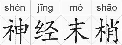 神经末梢的拼音