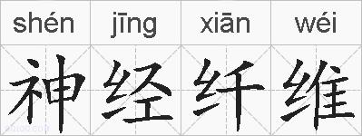 神经纤维的拼音