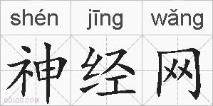 神经网的拼音