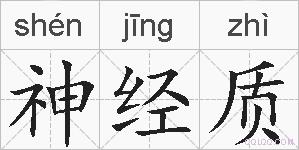 神经质的拼音