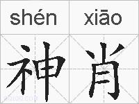 神肖的拼音
