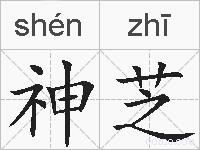 神芝的拼音