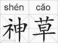 神草的拼音