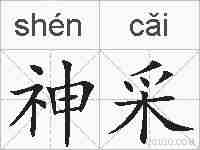 神采的拼音