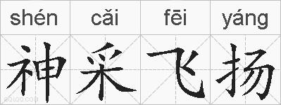 神采飞扬的拼音