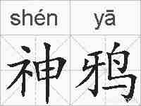 神鸦的拼音