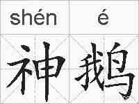 神鹅的拼音