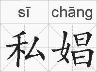 私娼的拼音