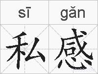 私感的拼音