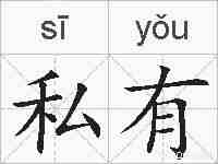 私有的拼音