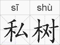 私树的拼音