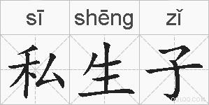 私生子的拼音