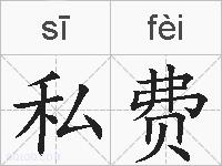 私费的拼音