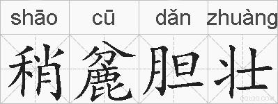 稍麄胆壮的拼音