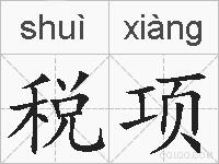 税项的拼音