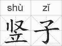竖子的拼音