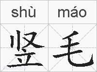 竖毛的拼音