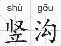 竖沟的拼音