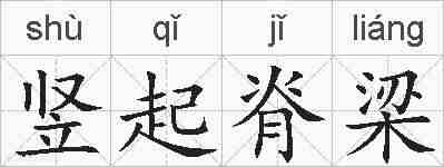 竖起脊梁的拼音