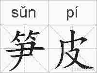 笋皮的拼音