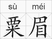 粟眉的拼音