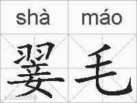 翣毛的拼音