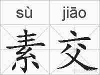 素交的拼音