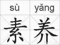 素养的拼音