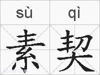 素契的拼音