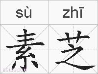 素芝的拼音