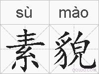素貌的拼音