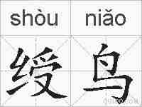 绶鸟的拼音