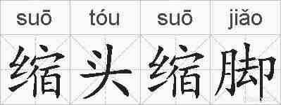 缩头缩脚的拼音