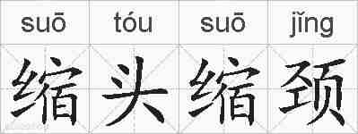 缩头缩颈的拼音