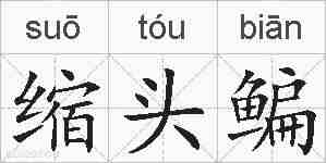 缩头鳊的拼音