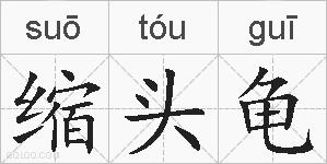 缩头龟的拼音