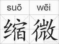 缩微的拼音