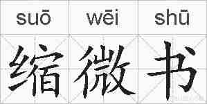 缩微书的拼音