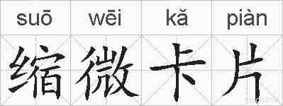 缩微卡片的拼音