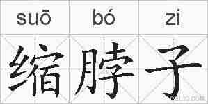 缩脖子的拼音