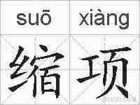 缩项的拼音
