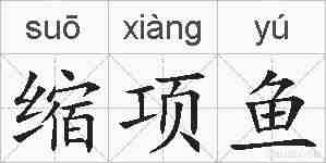 缩项鱼的拼音