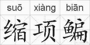缩项鳊的拼音