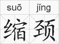 缩颈的拼音