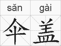 伞盖的拼音