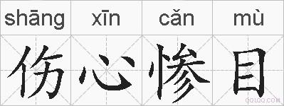伤心惨目的拼音