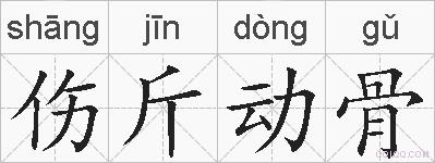 伤斤动骨的拼音