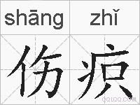 伤疻的拼音